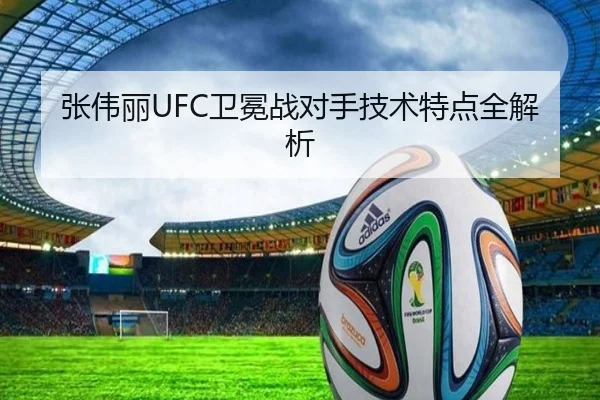 张伟丽UFC卫冕战对手技术特点全解析