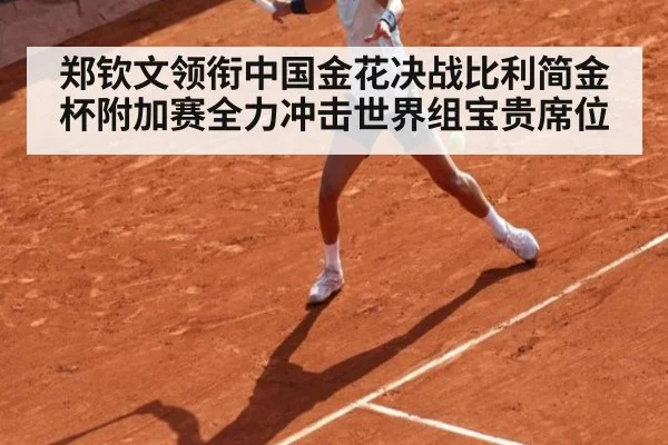 郑钦文领衔中国金花决战比利简金杯附加赛全力冲击世界组宝贵席位